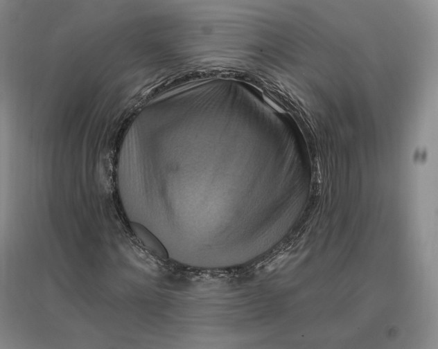 X0000096970868200802291119