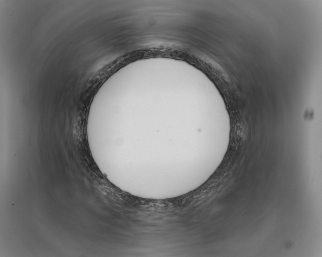 X0000096970869200802291119