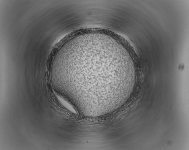 X0000096970871200802291119