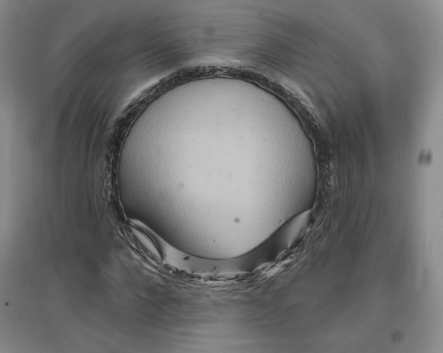 X0000096970872200802291119