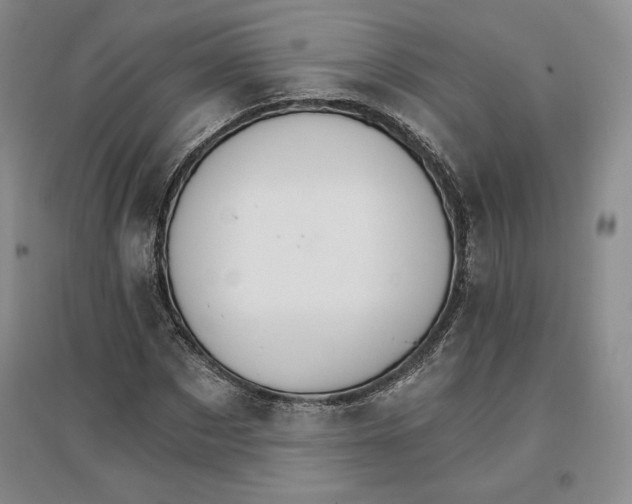 X0000096970873200802291119