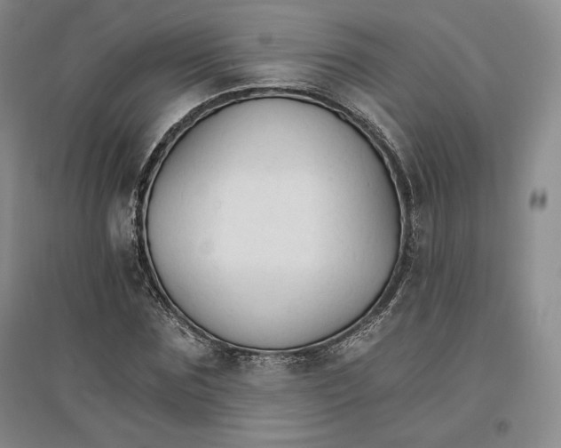 X0000096970875200802291119