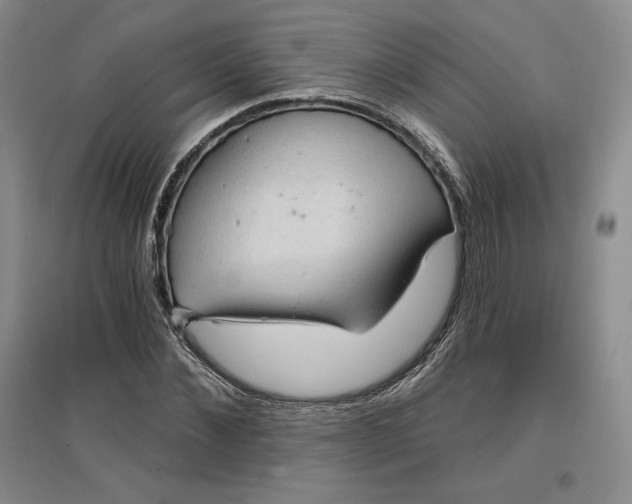 X0000096970876200802291119