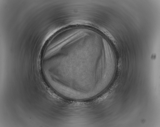 X0000096970877200802291119