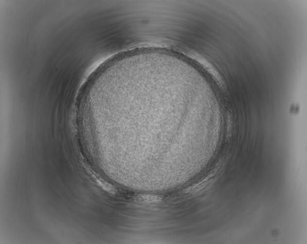 X0000096970878200802291119