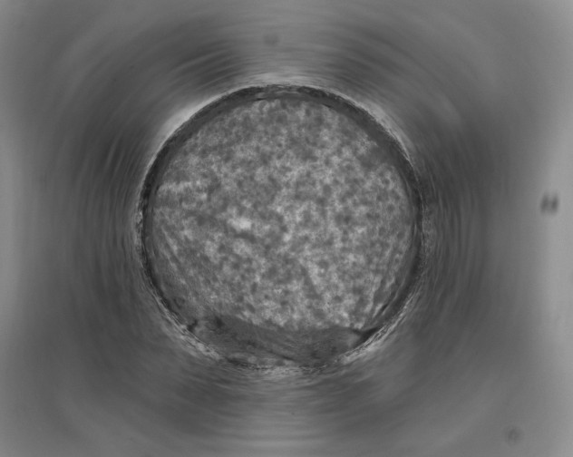 X0000096970879200802291119