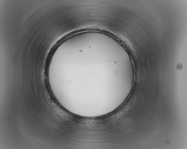 X0000096970880200802291119