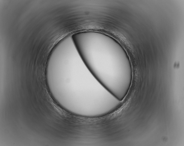 X0000096970881200802291119