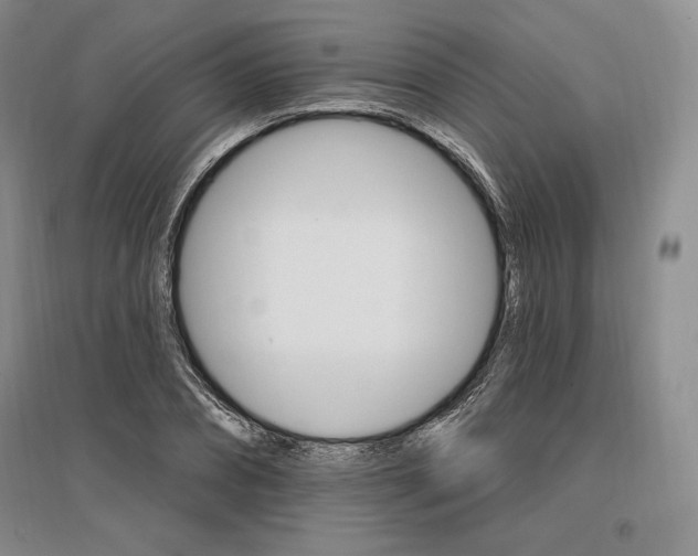 X0000096970882200802291119