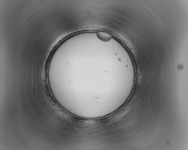 X0000096970883200802291119