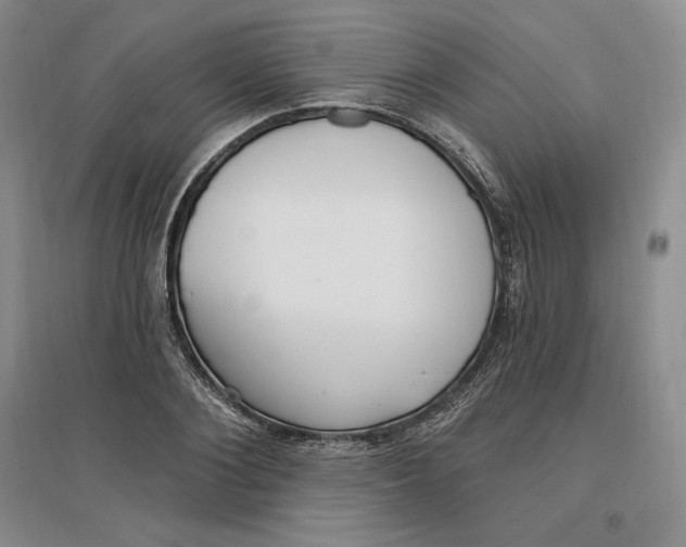 X0000096970884200802291119