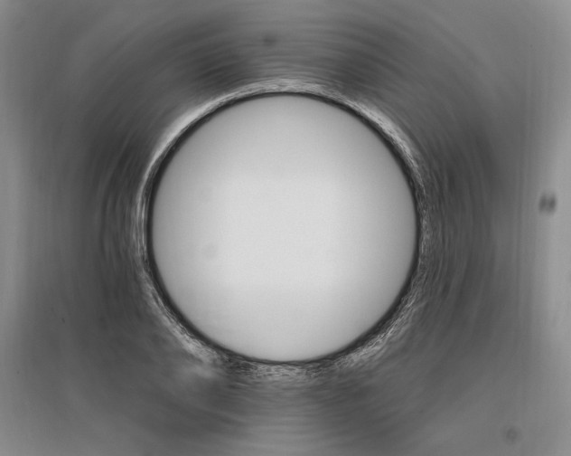 X0000096970886200802291119