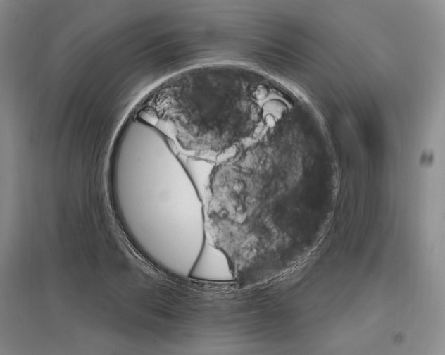 X0000096970887200802291119