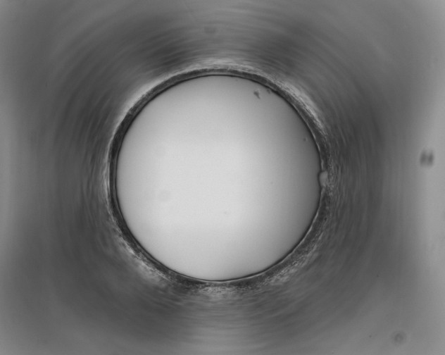 X0000096970888200802291119