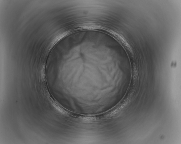 X0000096970889200802291119