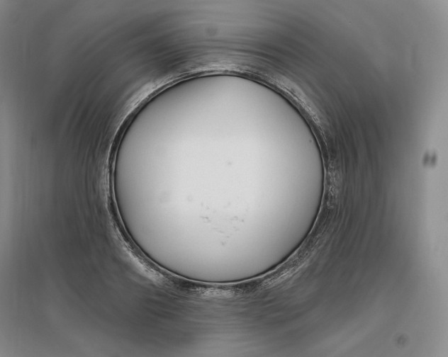 X0000096970890200802291119