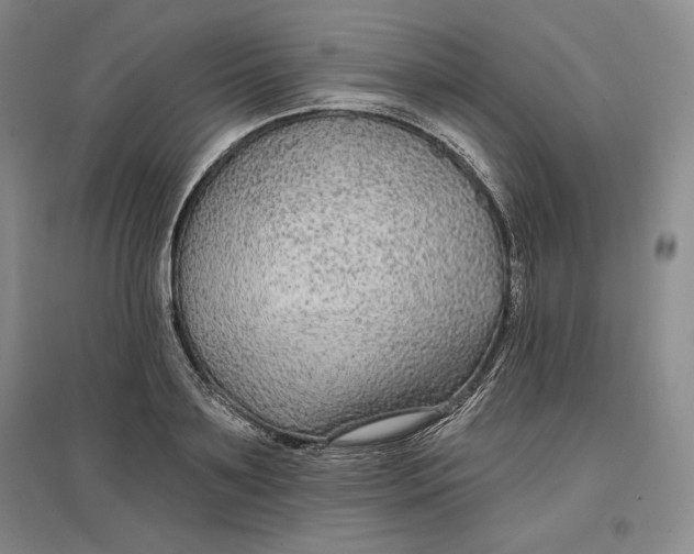 X0000096970891200802291119