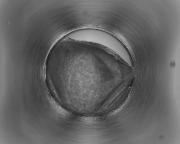 X0000096970892200802291119