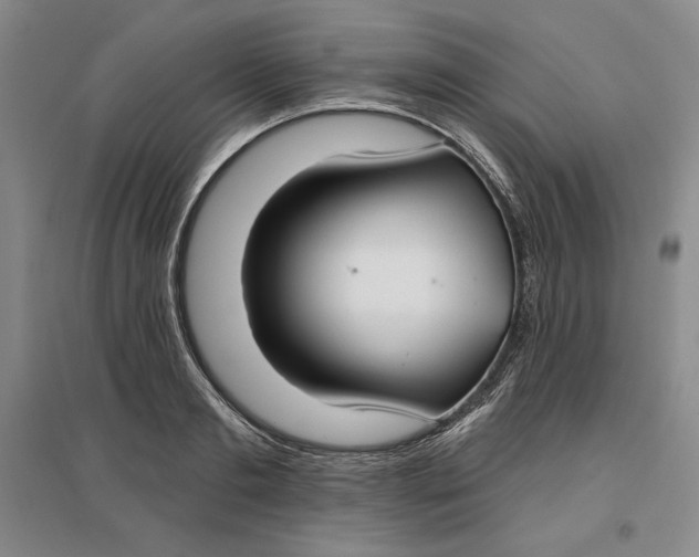 X0000096970893200802291119