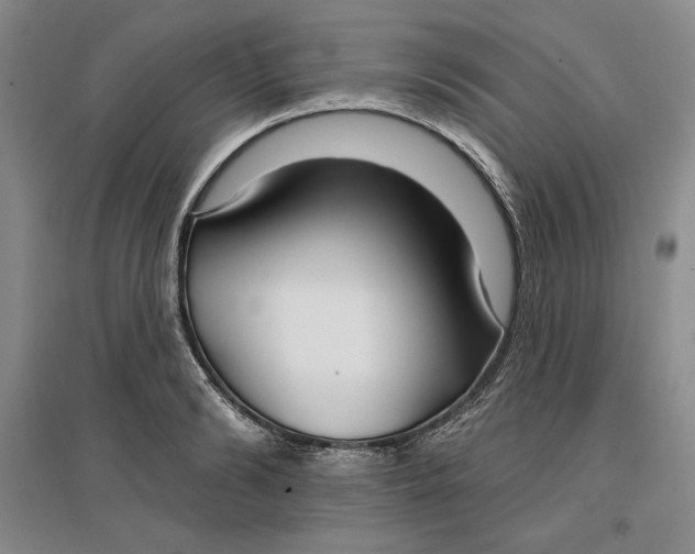 X0000096970894200802291119