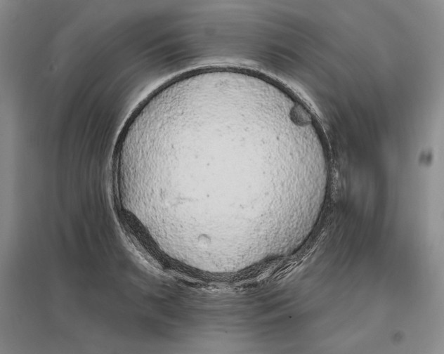 X0000096970895200802291119