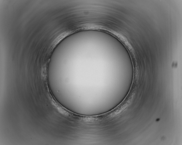 X0000096970897200802291119