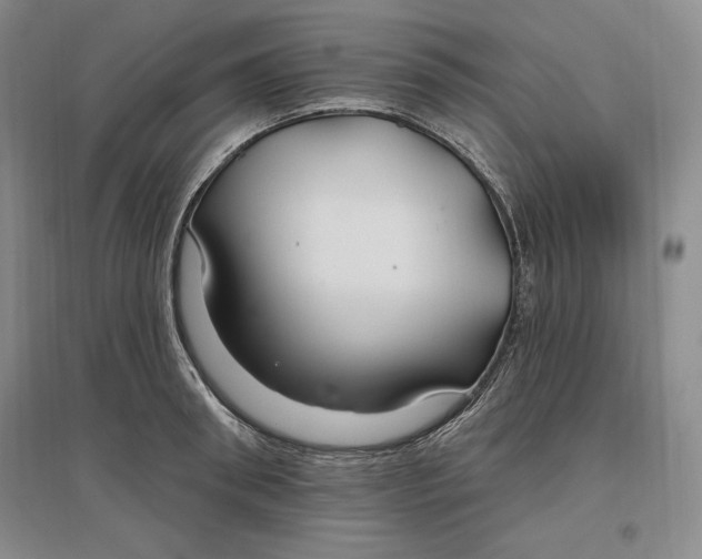 X0000096970898200802291119