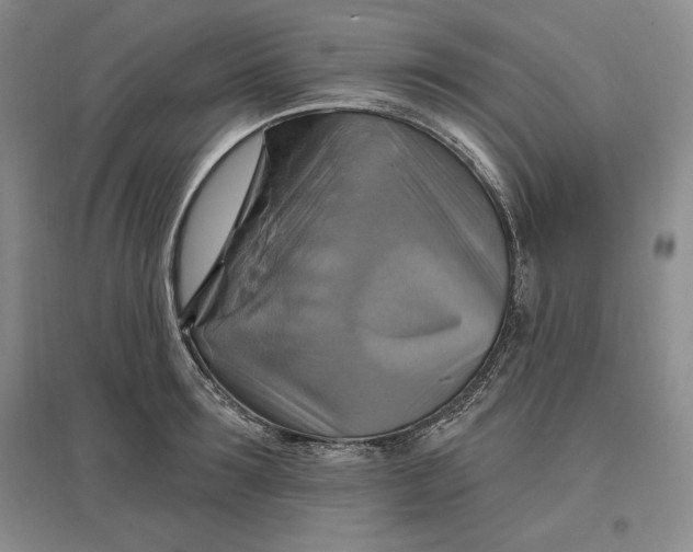 X0000096970899200802291119