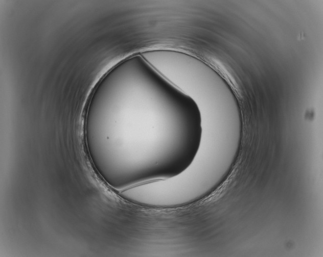 X0000096970900200802291119