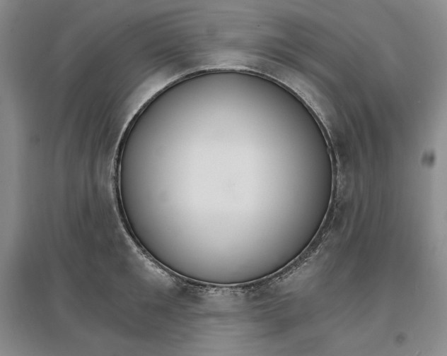 X0000096970901200802291119