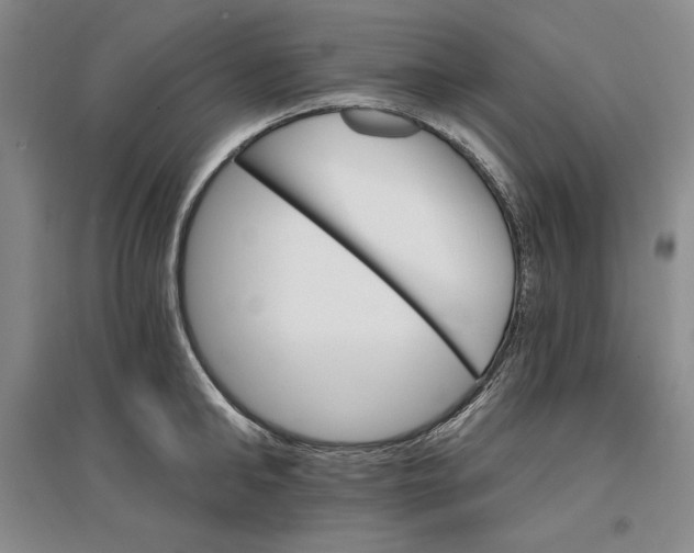 X0000096970902200802291119