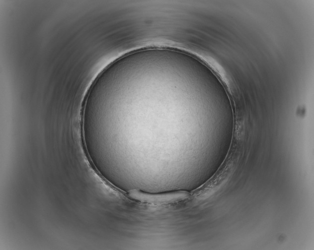 X0000096970903200802291119