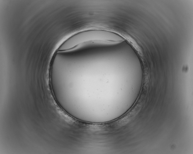 X0000096970904200802291119