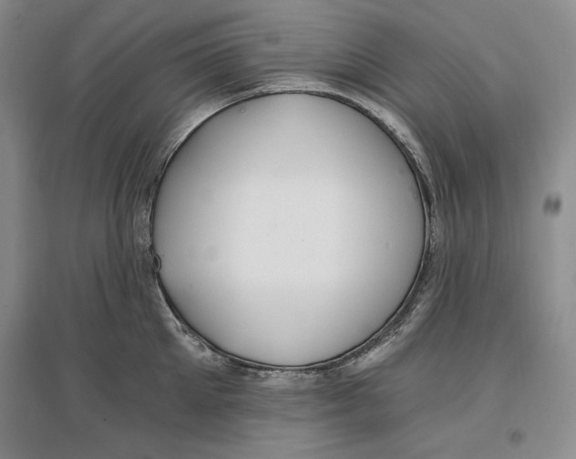 X0000096970905200802291119