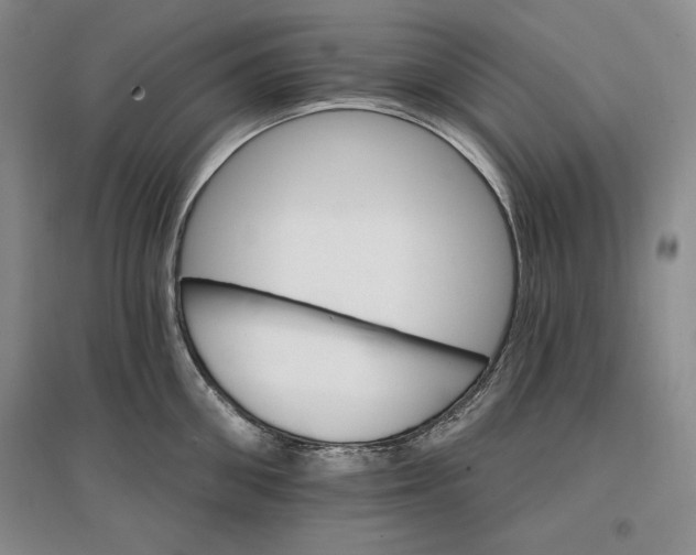 X0000096970906200802291119