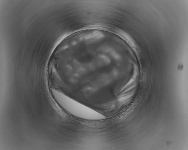 X0000096970907200802291119