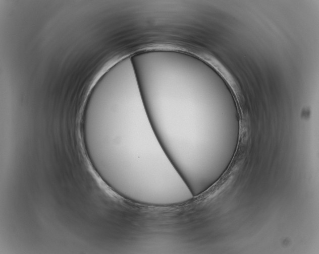 X0000096970909200802291119