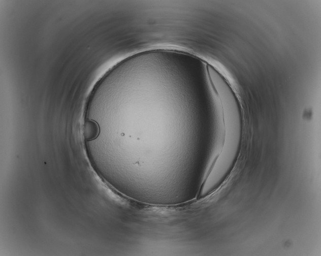 X0000096970910200802291119