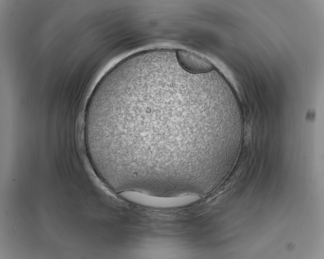 X0000096970911200802291119