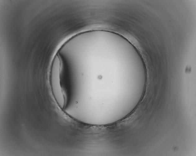 X0000096970912200802291119