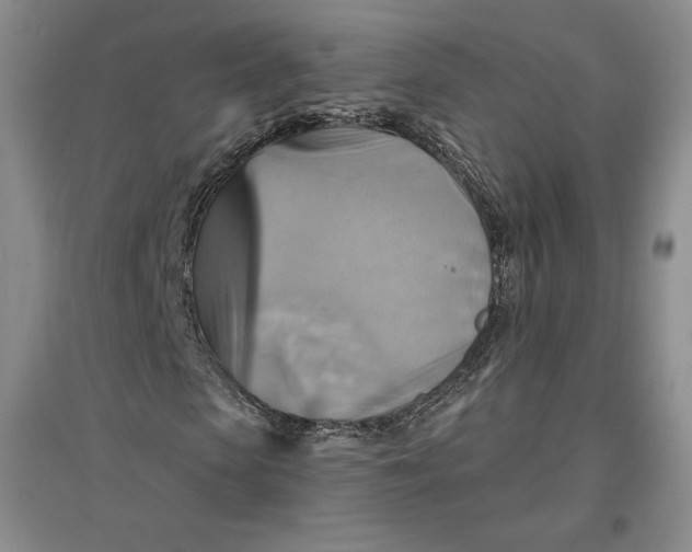 X0000096970913200802291118