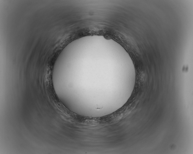 X0000096970914200802291118