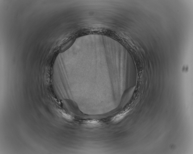 X0000096970916200802291118