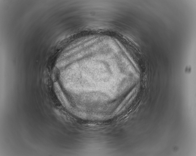 X0000096970917200802291118