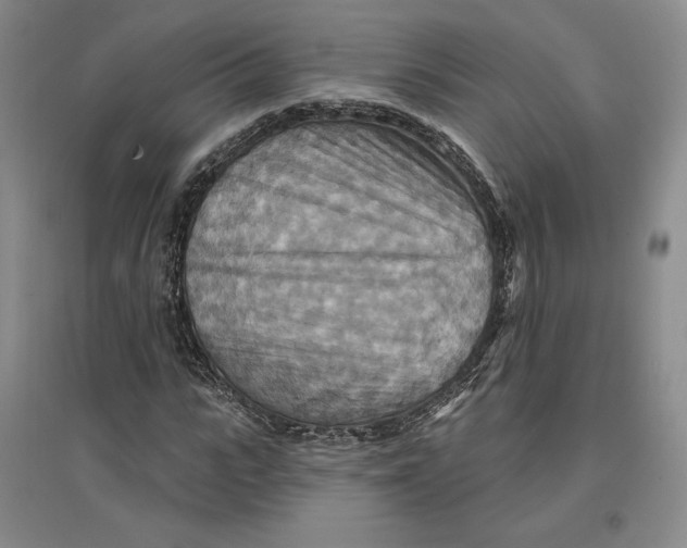 X0000096970919200802291118