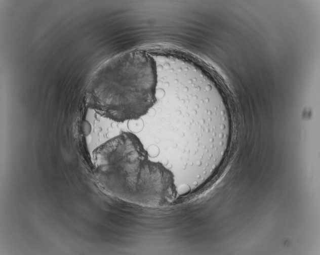 X0000096970921200802291118