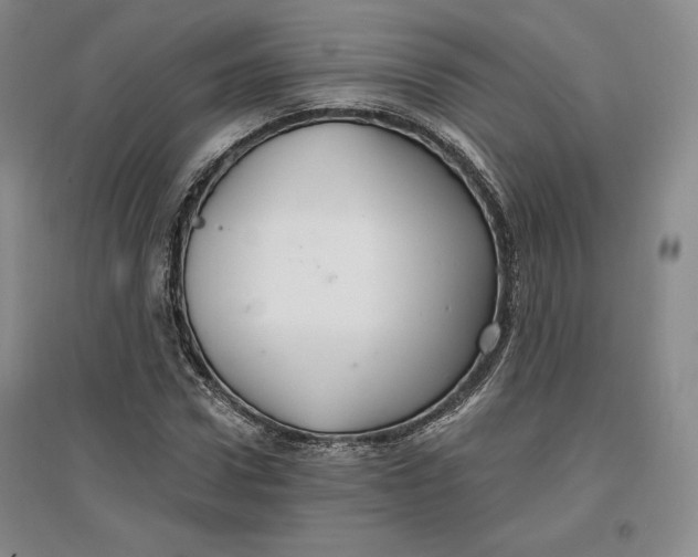 X0000096970922200802291118