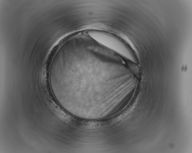 X0000096970923200802291118