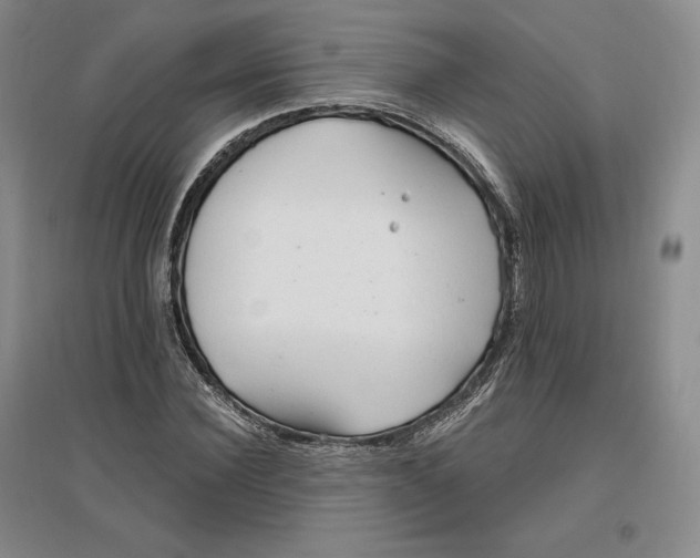 X0000096970924200802291118