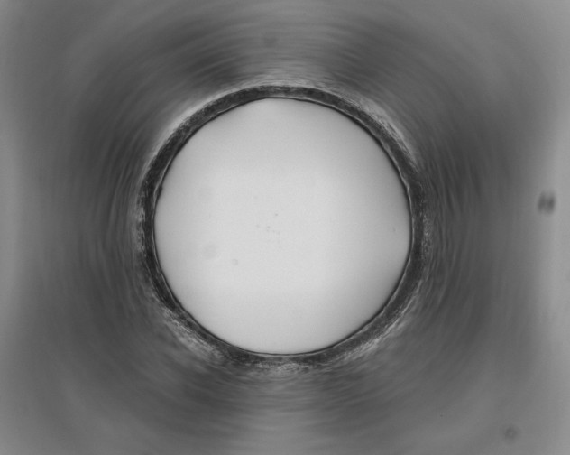 X0000096970926200802291118